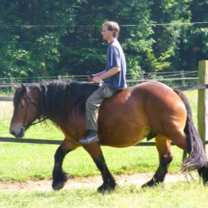 Chris und Pegasus