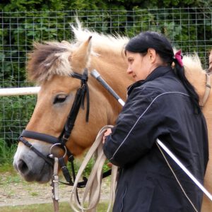 Longieren