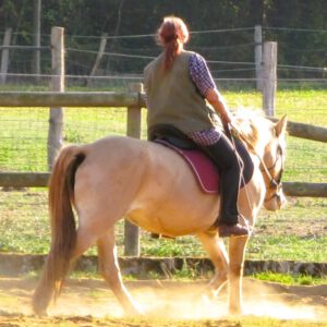 Reiten im Häxehüsli