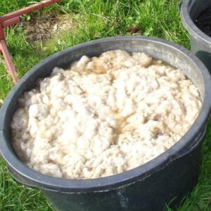 Wolle waschen